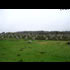 Champ de Menhirs